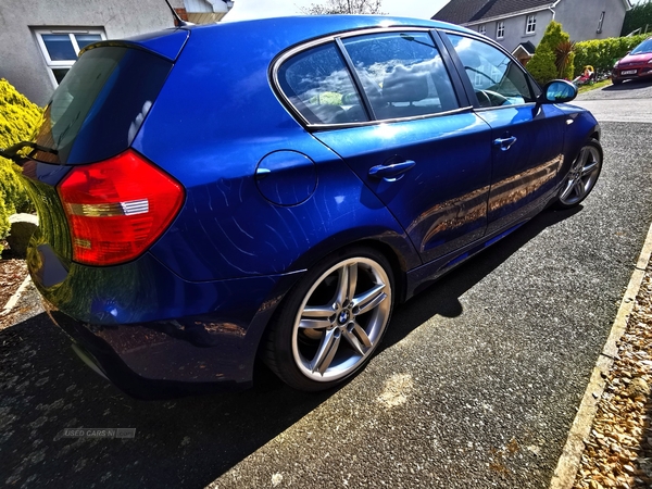 BMW 1 Series 116i M Sport 5dr [122] in Down