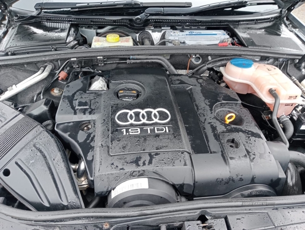 Audi A4 1.9 TDi TDV S Line 5dr in Down