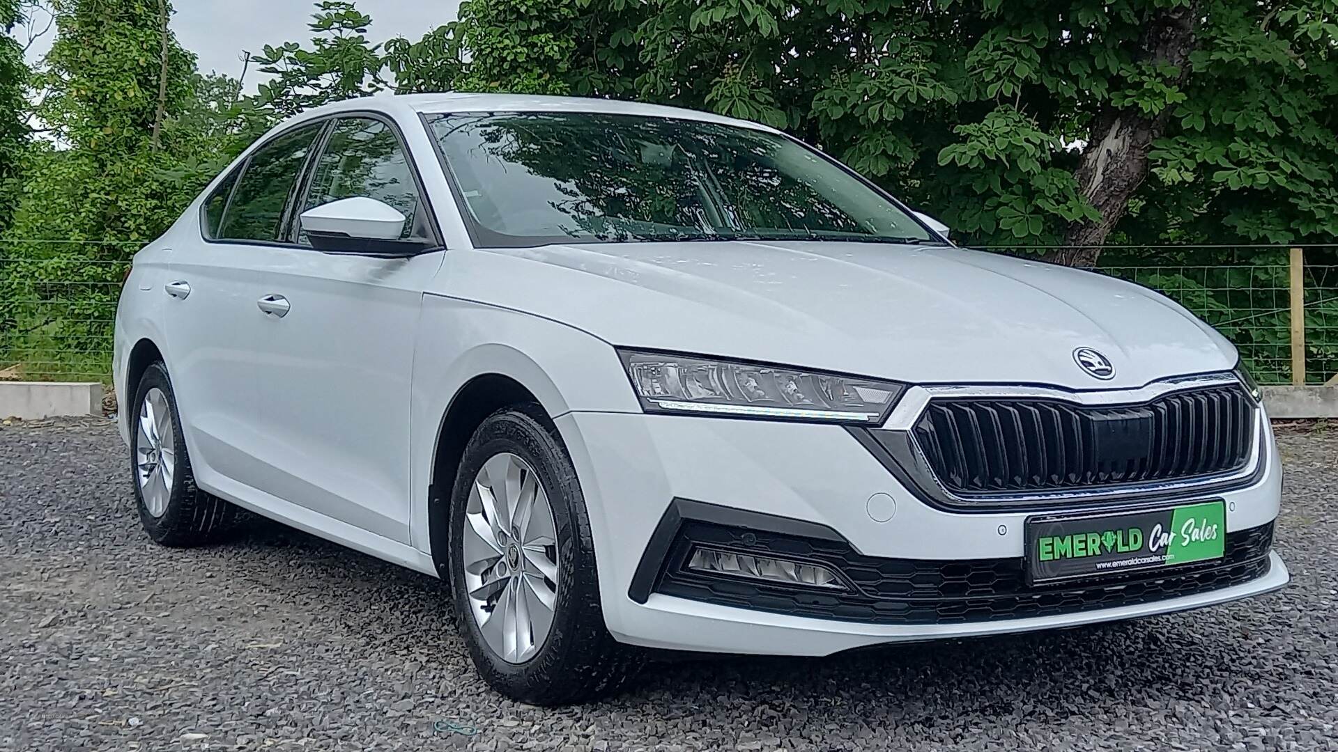 Skoda Octavia DIESEL HATCHBACK in Tyrone