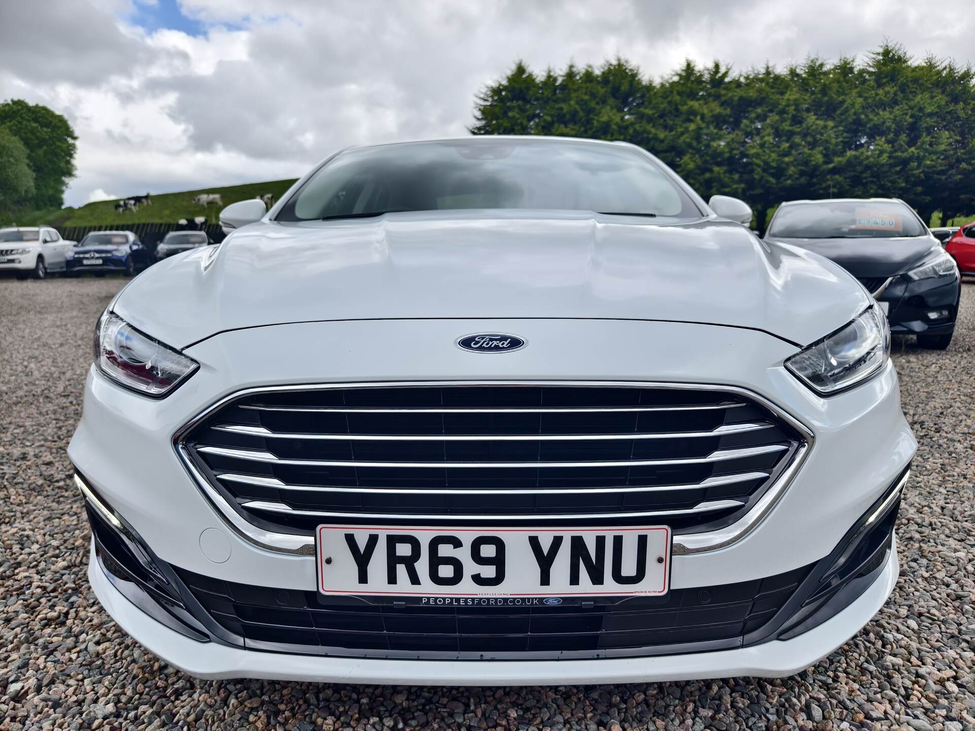 Ford Mondeo DIESEL HATCHBACK in Fermanagh