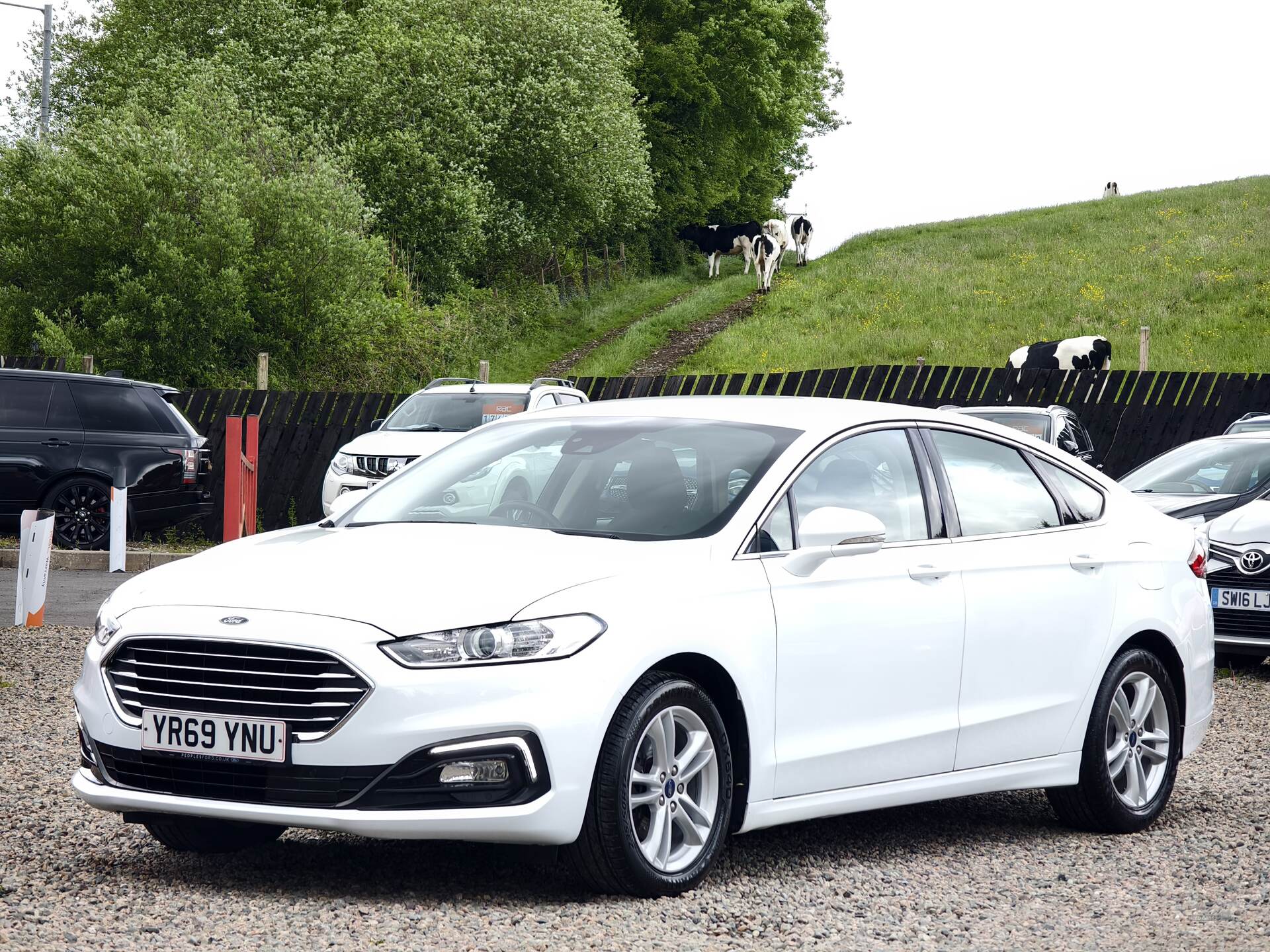 Ford Mondeo DIESEL HATCHBACK in Fermanagh