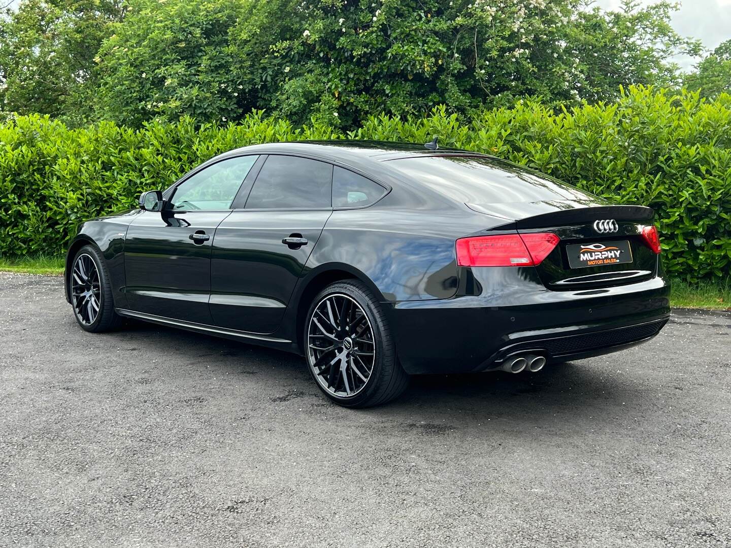 Audi A5 SPORTBACK SPECIAL EDITIONS in Down