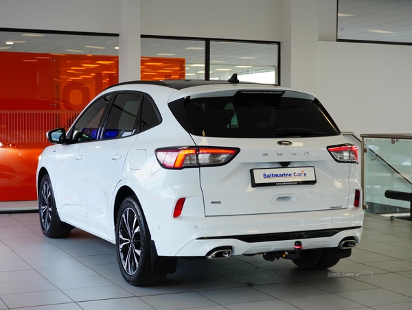 Ford Kuga ST-LINE X FIRST EDITION ECOBLUE in Tyrone