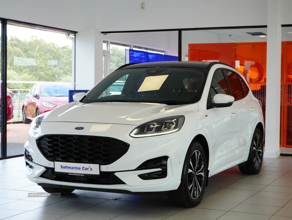 Ford Kuga ST-LINE X FIRST EDITION ECOBLUE in Tyrone
