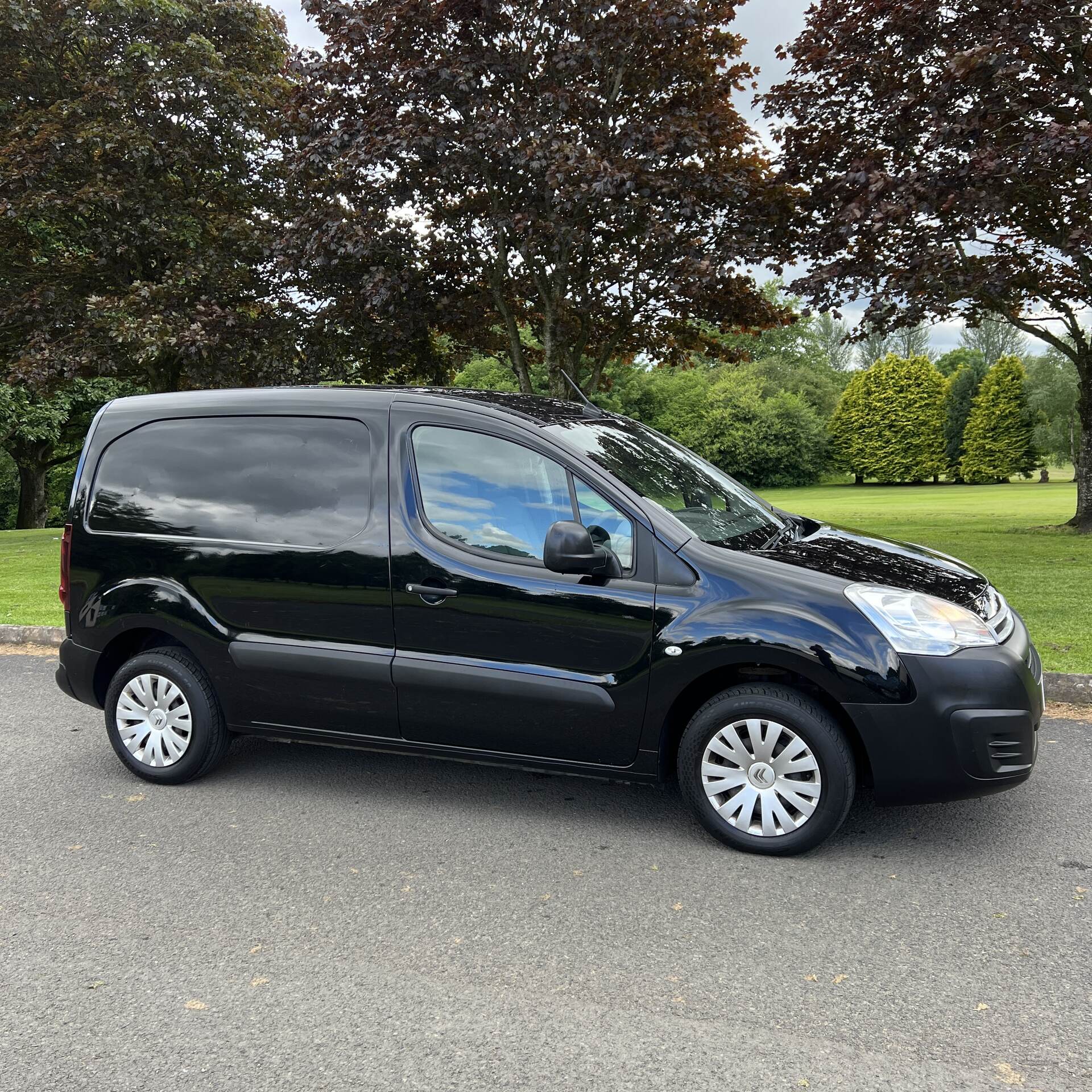 Citroen Berlingo L1 DIESEL in Tyrone