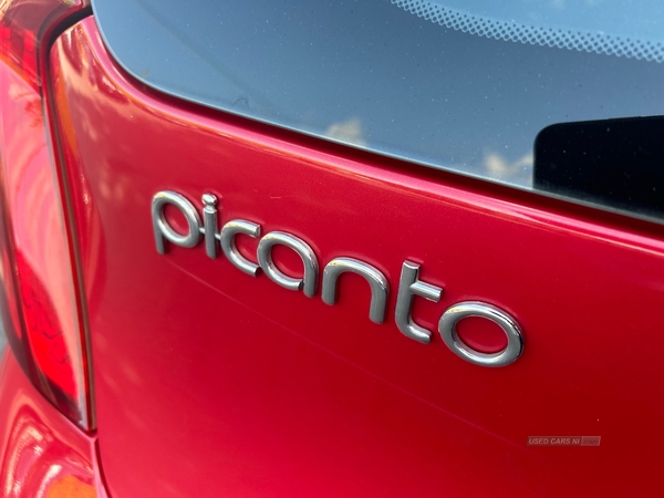 Kia Picanto HATCHBACK in Antrim