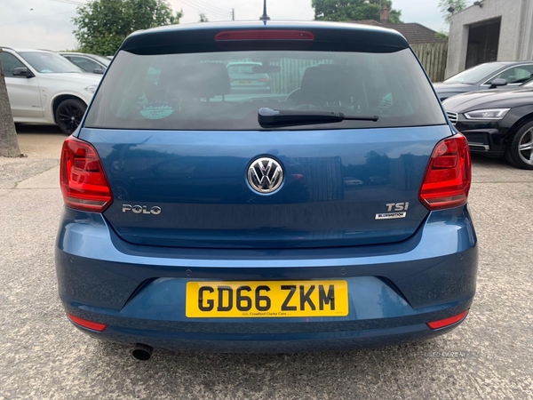 Volkswagen Polo HATCHBACK in Down