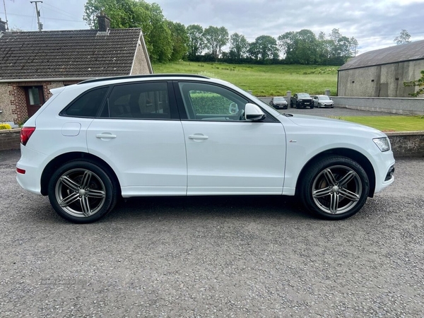 Audi Q5 2.0 TDI QUATTRO S LINE PLUS EDITION 190 BHP (LOW MILES) in Tyrone