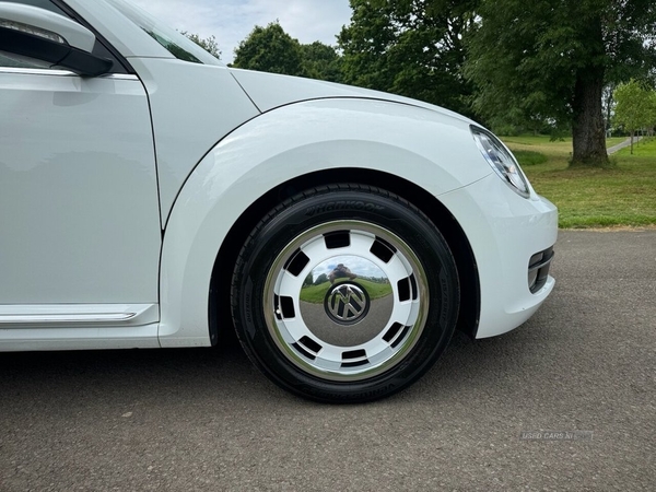 Volkswagen Beetle 1.2 DESIGN TSI DSG 3d 103 BHP in Antrim