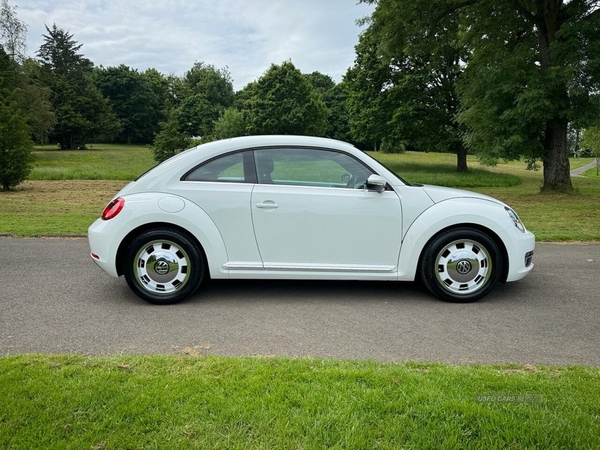 Volkswagen Beetle 1.2 DESIGN TSI DSG 3d 103 BHP in Antrim