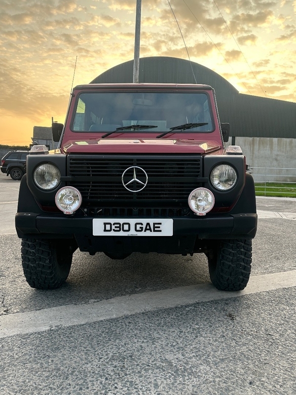 Mercedes G-Class SERIES STATION WAON in Down