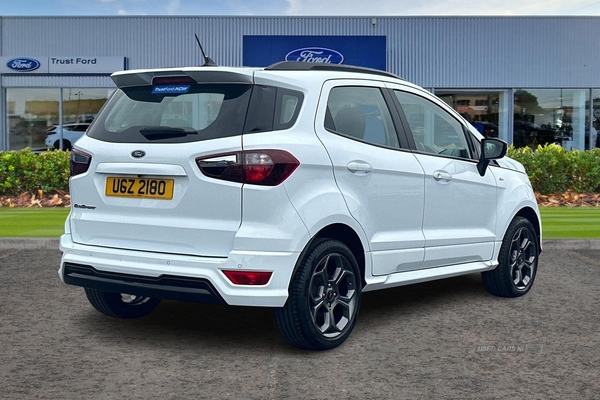 Ford EcoSport 1.0 EcoBoost 125 ST-Line 5dr - REAR CAMERA, SAT NAV, ROOF RAILS - TAKE ME HOME in Armagh