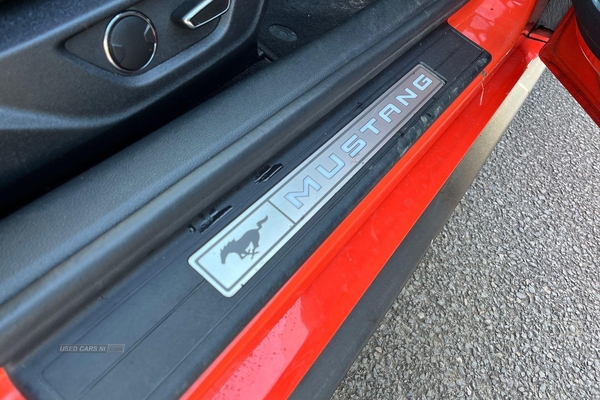 Ford Mustang 5.0 V8 GT 2dr **Rare Competition Orange Paintwork- Reversing Camera- Sat Nav- Reversing Camera- Sat Nav** in Antrim