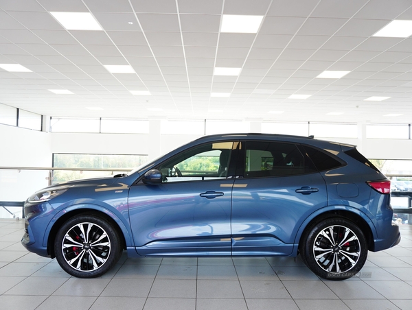 Ford Kuga ST-LINE X EDITION ECOBLUE in Tyrone