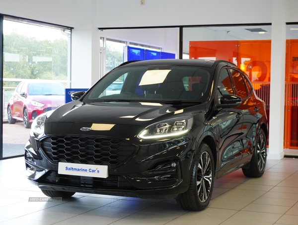 Ford Kuga ST-LINE X EDITION ECOBLUE in Tyrone