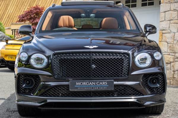 Bentley Bentayga ESTATE in Down