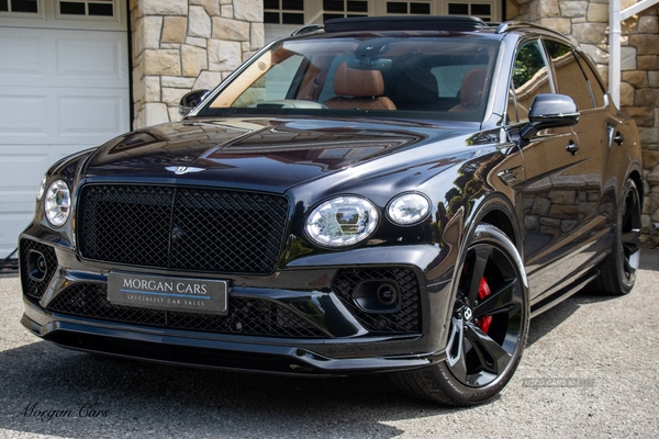 Bentley Bentayga ESTATE in Down