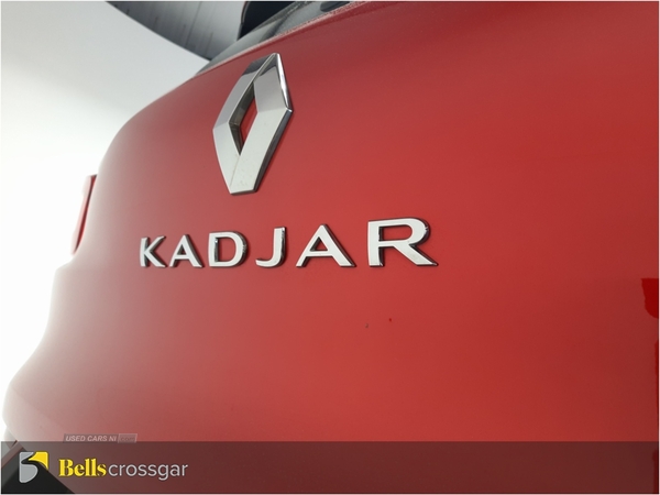 Renault Kadjar 1.5 Blue dCi S Edition 5dr in Down
