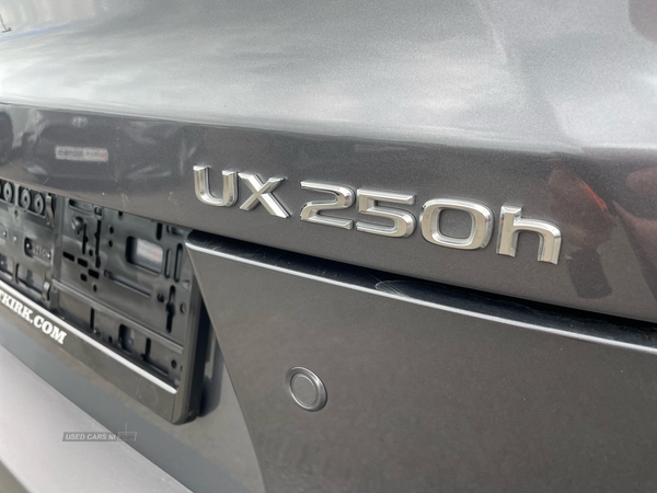 Lexus UX 250h 2.0 F-Sport Design 5dr CVT HYBRID in Tyrone