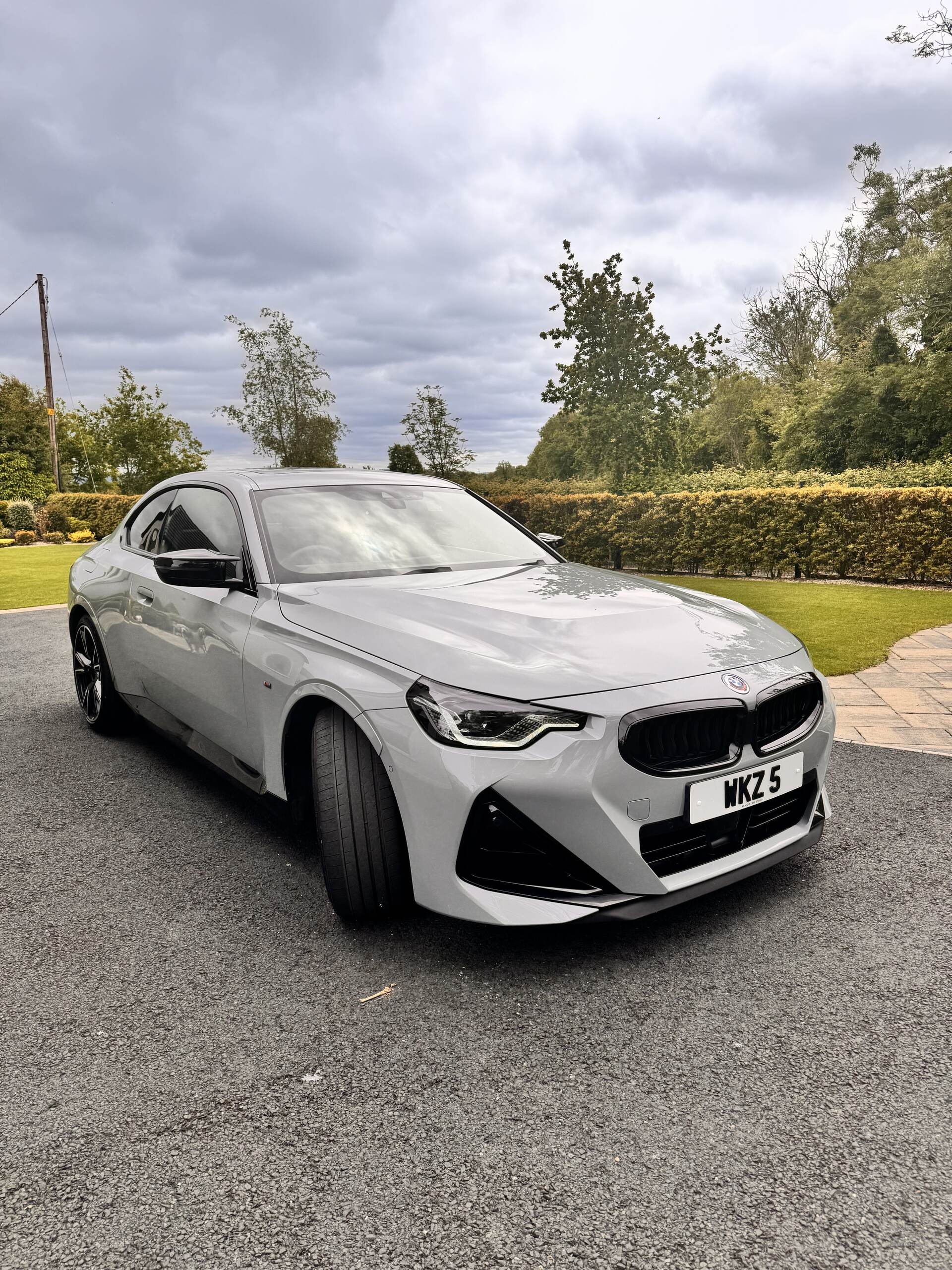 BMW 2 Series COUPE in Antrim