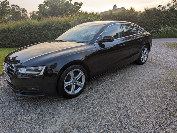 Audi A5 DIESEL SPORTBACK in Tyrone