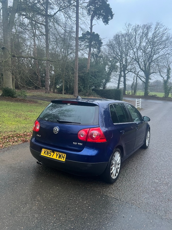 Volkswagen Golf DIESEL HATCHBACK in Tyrone