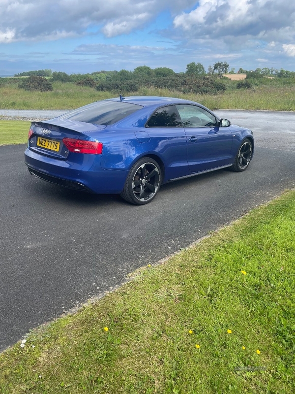 Audi A5 2.0 TDI 190 Black Edition Plus 2dr in Down