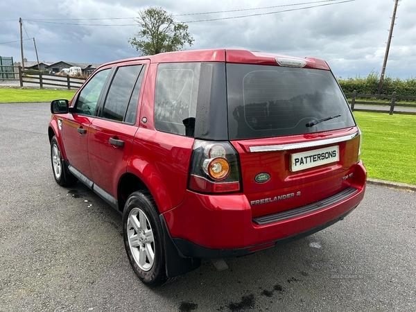 Land Rover Freelander DIESEL SW in Armagh