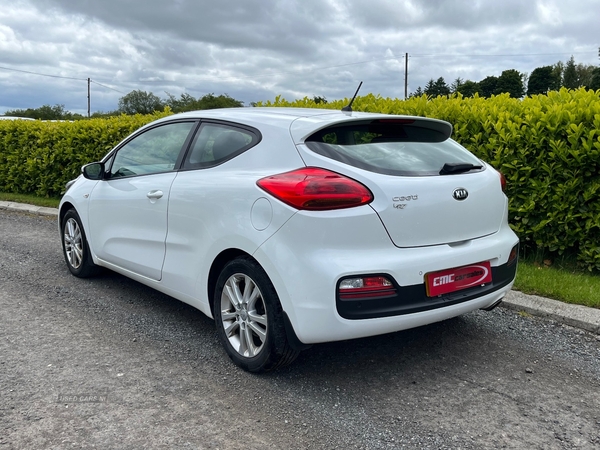 Kia Pro Ceed HATCHBACK SPECIAL EDITIONS in Tyrone