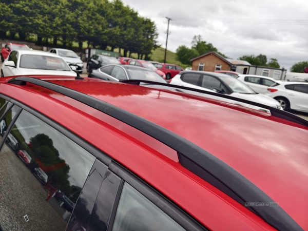 Skoda Octavia DIESEL ESTATE in Fermanagh