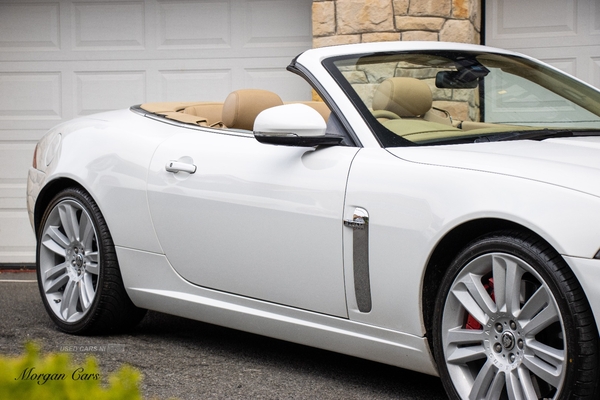 Jaguar XK CONVERTIBLE in Down