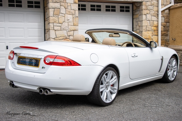 Jaguar XK CONVERTIBLE in Down