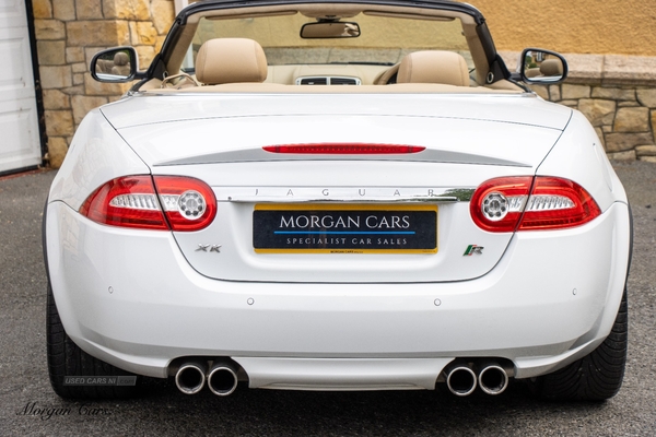 Jaguar XK CONVERTIBLE in Down