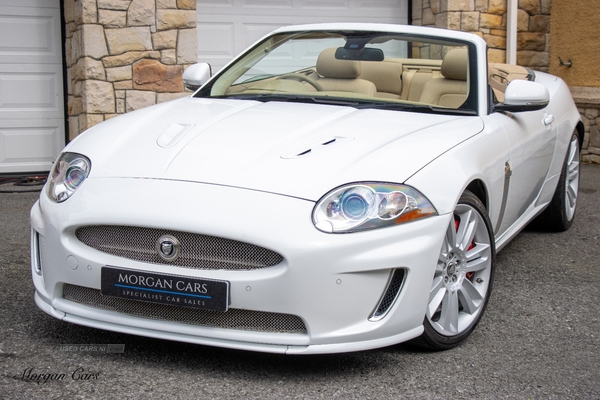 Jaguar XK CONVERTIBLE in Down