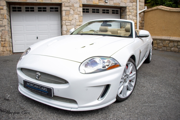 Jaguar XK CONVERTIBLE in Down