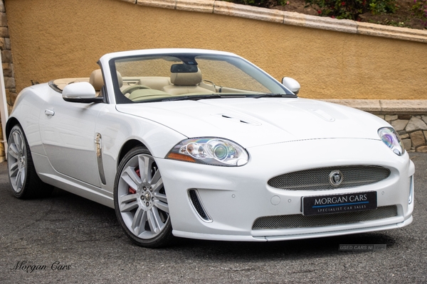 Jaguar XK CONVERTIBLE in Down