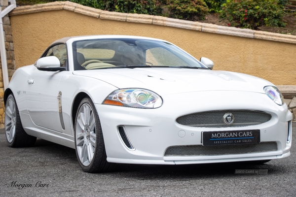 Jaguar XK CONVERTIBLE in Down