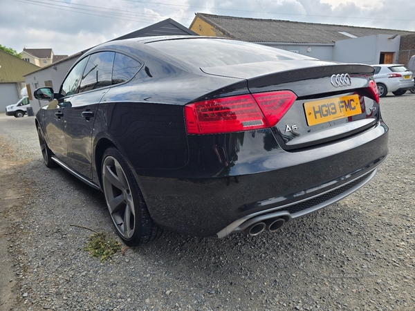 Audi A5 SPORTBACK SPECIAL EDITIONS in Down