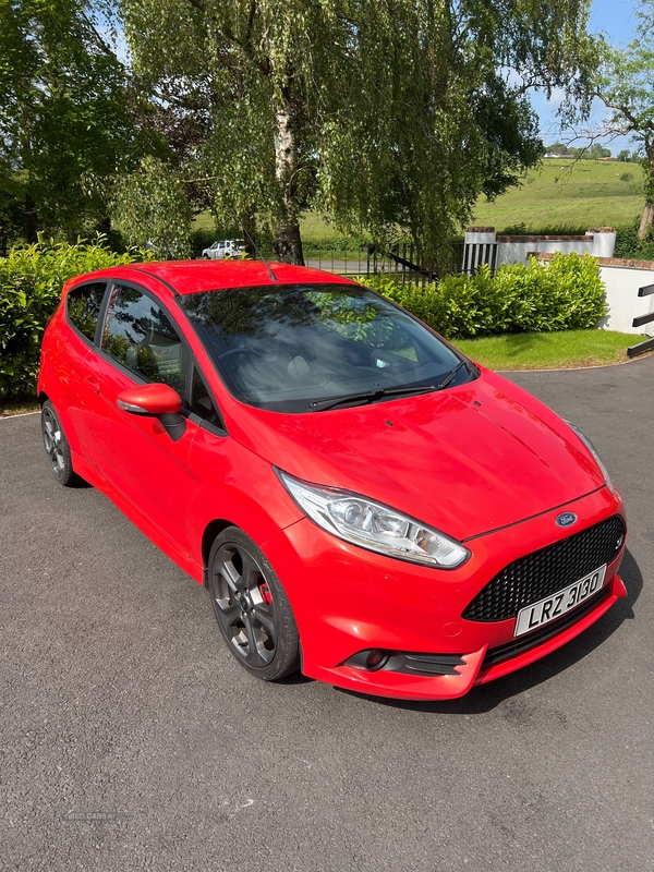 Ford Fiesta 1.6 EcoBoost ST-3 3dr in Down