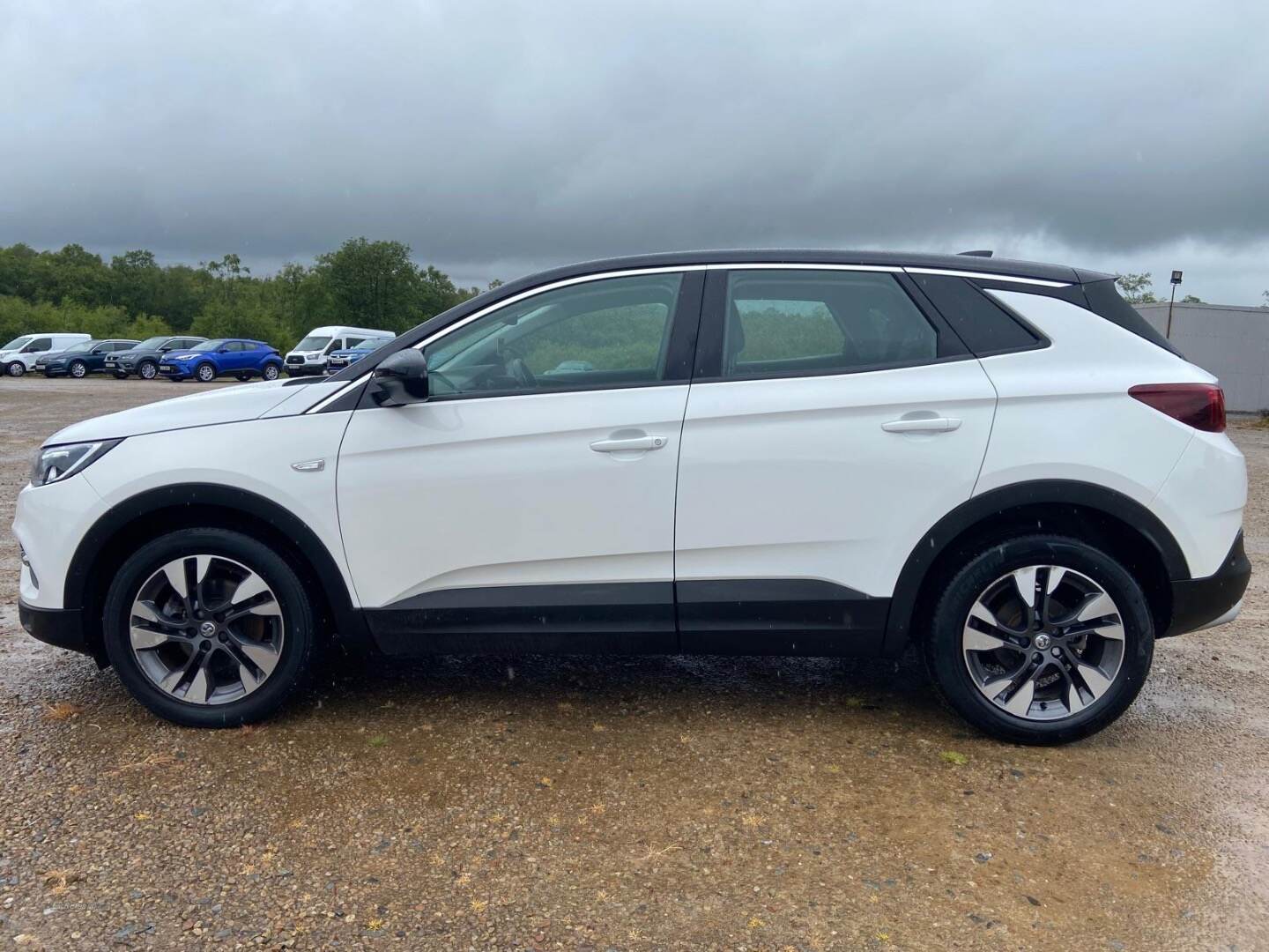 Vauxhall Grandland X HATCHBACK in Tyrone