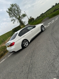 BMW 3 Series 318d M Sport 4dr in Down