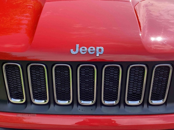 Jeep Renegade LONGITUDE M-JET in Down