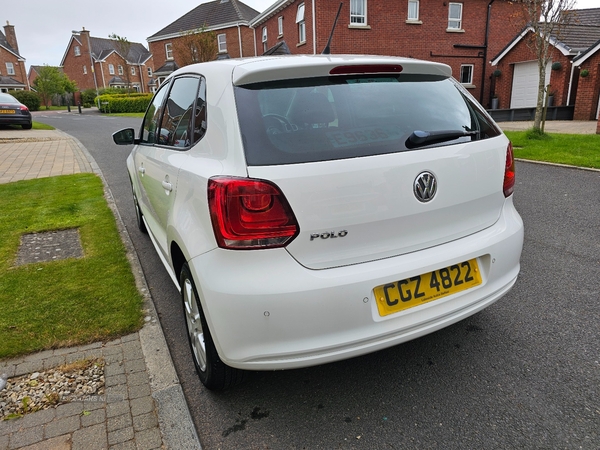 Volkswagen Polo HATCHBACK in Down