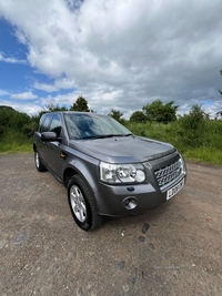 Land Rover Freelander 2.2 Td4 GS 5dr Auto in Derry / Londonderry