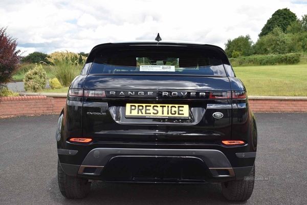 Land Rover Range Rover Evoque R-Dynamic 4x2 in Antrim