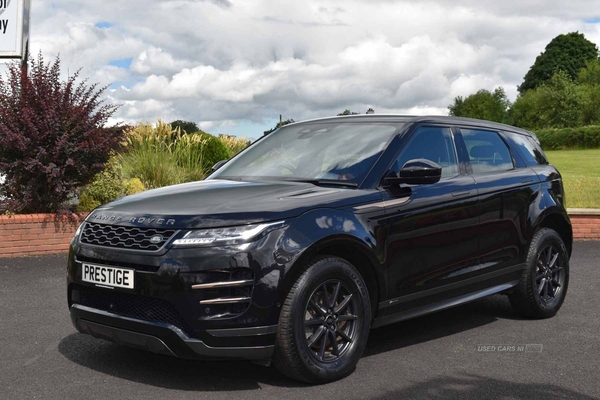 Land Rover Range Rover Evoque R-Dynamic 4x2 in Antrim