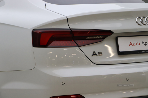 Audi A5 SPORTBACK TDI QUATTRO S LINE in Antrim