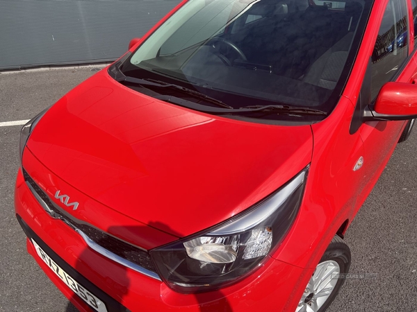 Kia Picanto LEVEL 2 1.0 66BHP 5DR in Armagh