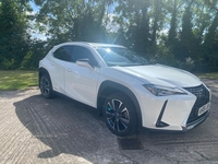 Lexus UX 250h 2.0 5dr CVT [without Nav] in Armagh