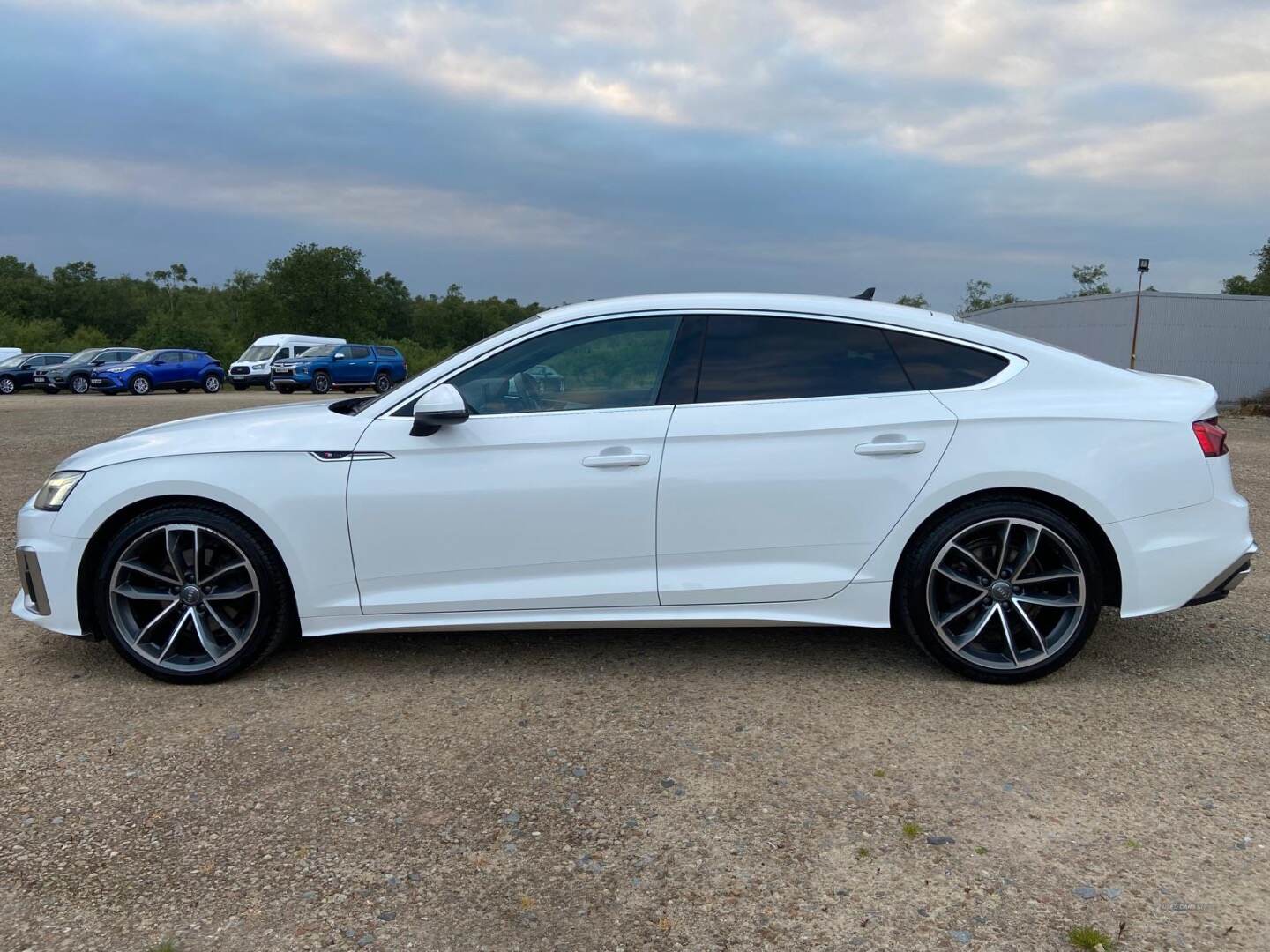 Audi A5 DIESEL SPORTBACK in Tyrone